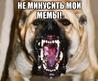 не минусить мои мемы! 