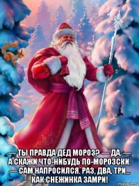  — ты правда дед мороз? — да. — а скажи что-нибудь по-морозски. — сам напросился. раз, два, три... как снежинка замри!