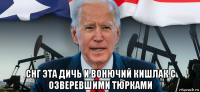  снг эта дичь и вонючий кишлак с озверевшими тюрками