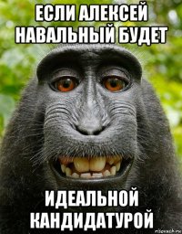 если алексей навальный будет идеальной кандидатурой