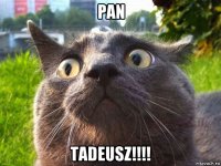 pan tadeusz!!!!