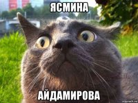 ясмина айдамирова