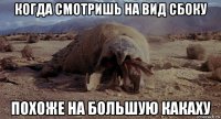 когда смотришь на вид сбоку похоже на большую какаху