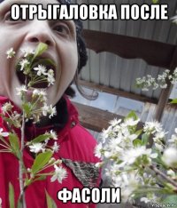 отрыгаловка после фасоли
