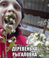  деревенька рыгаловка
