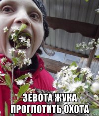  зевота жука проглотить охота