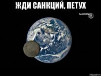 жди санкций, петух 