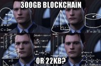 300gb blockchain or 22kb?