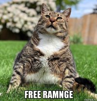  free ramnge