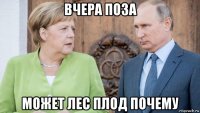 вчера поза может лес плод почему