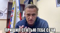  пришил статью тебе сеча