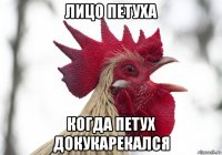 лицо петуха когда петух докукарекался