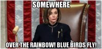 somewhere over the rainbow! blue birds fly!