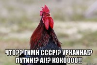  что?? гимн ссср!? уркаина!? путин!? ai!? кокоооо!!