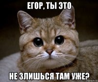 егор, ты это не злишься там уже?