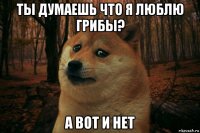 ты думаешь что я люблю грибы? а вот и нет