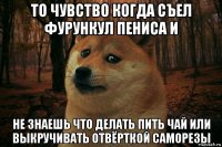 то чувство когда съел фурункул пениса и не знаешь что делать пить чай или выкручивать отвёрткой саморезы