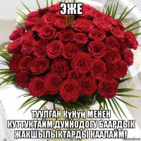 эже туулган күнүң менен куттуктайм.дуйнодогу баардык жакшылыктарды каалайм!