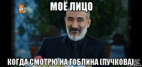моё лицо когда смотрю на гоблина (пучкова).
