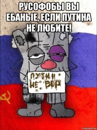 русофобы вы ебаные, если путина не любите! 