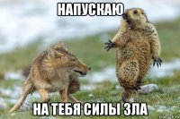 напускаю на тебя силы зла