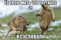 ёб твою мать что ты такое ?! я сусловолк