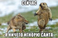 сейчас я ничего игнорю сайта