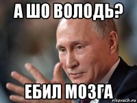 а шо володь? ебил мозга