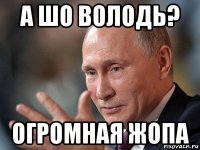 а шо володь? огромная жопа