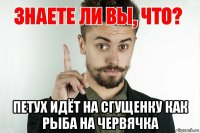  петух идёт на сгущенку как рыба на червячка