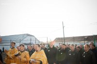 ну то что ты петух и других петухов топчешь это давно известно!, Мем 1