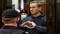  не!не!этооктаэдр!, Мем Алексей Навальный
