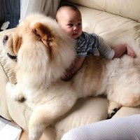 Создать мем Best For Kids