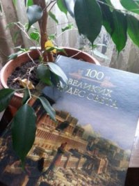 Создать мем Фикус читает книгу