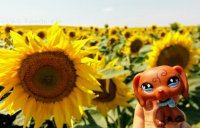 Создать мем Гаррик на Кубани