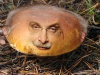 Создать мем Гриб Друзь
