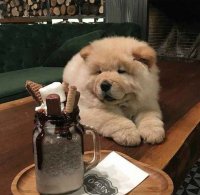 Создать мем Help You Eat A Big Dessert