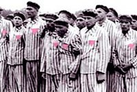 Создать мем Розовый Треугольник