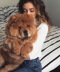 Создать мем They will give a chance to hug them