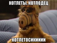 котлеты, котлодец котлетосикииии