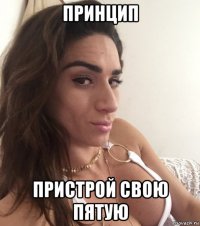 принцип пристрой свою пятую