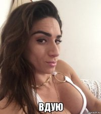  вдую