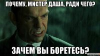 почему, мистер даша, ради чего? зачем вы боретесь?
