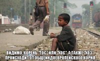  видимо, корень "гос" или "хос", а также "хоз" происходит от общеиндоевропейского корня