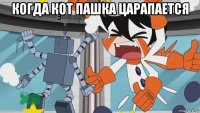 когда кот пашка царапается 