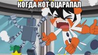 когда кот оцарапал 