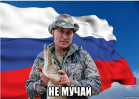  не мучай