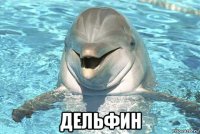  дельфин