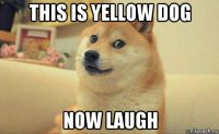 this is yellow dog now laugh