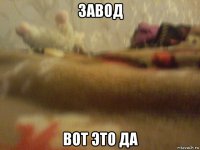 завод вот это да